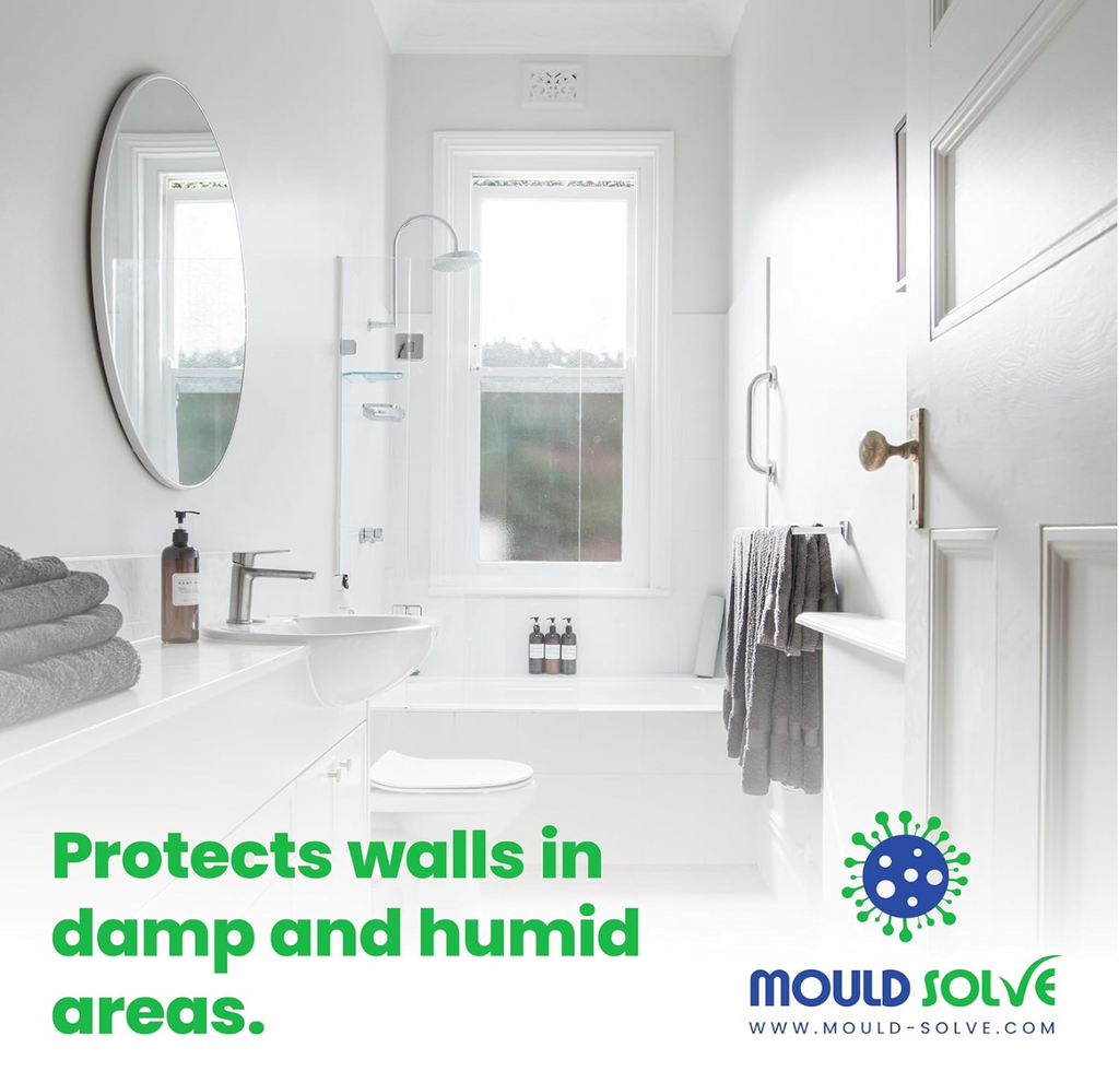 Mould Solve Anti Mould Paint 5L – Matt White Interior Wall & Ceiling Paint