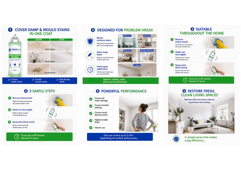 Mould Solve Damp & Mould Stain Block Spray