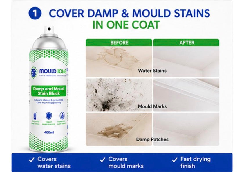 Mould Solve Damp & Mould Stain Block Spray