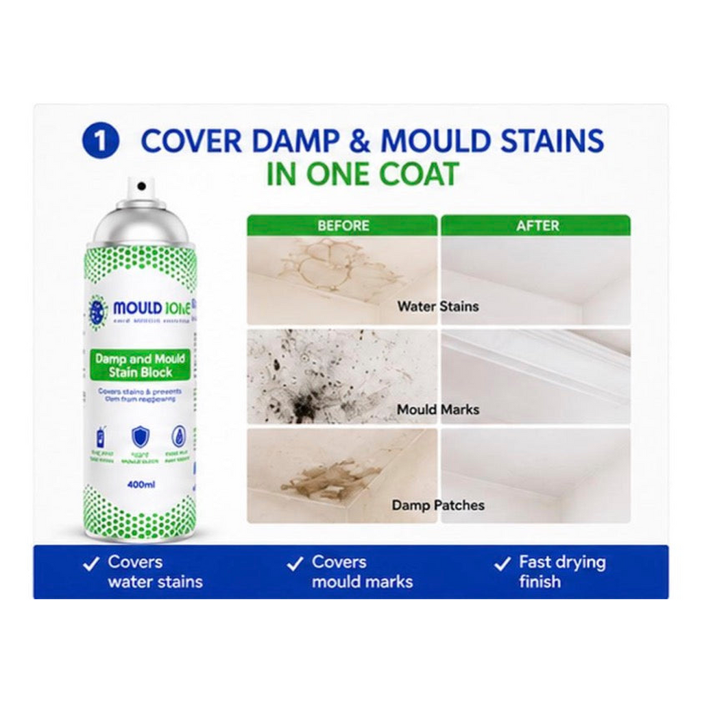 Damp & Stain Block Spray 400ml — product detail
