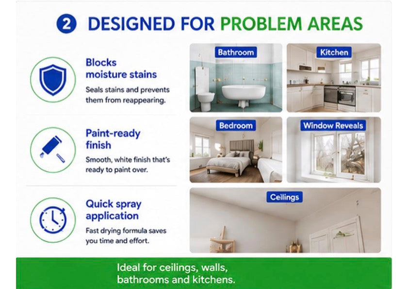 Mould Solve Damp & Mould Stain Block Spray