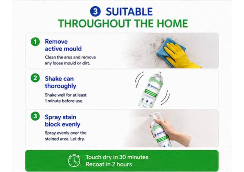 Mould Solve Damp & Mould Stain Block Spray