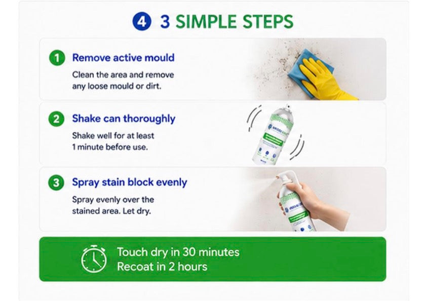Mould Solve Damp & Mould Stain Block Spray