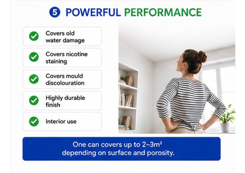 Mould Solve Damp & Mould Stain Block Spray