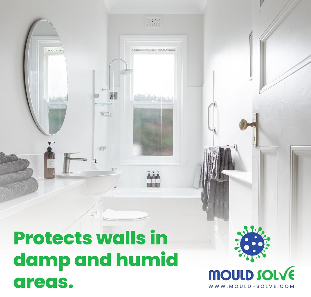 Mould Solve Anti Mould Paint 0.5L – Matt White