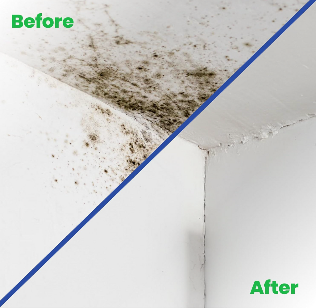 Mould Solve Anti Mould Paint 0.5L – Matt White