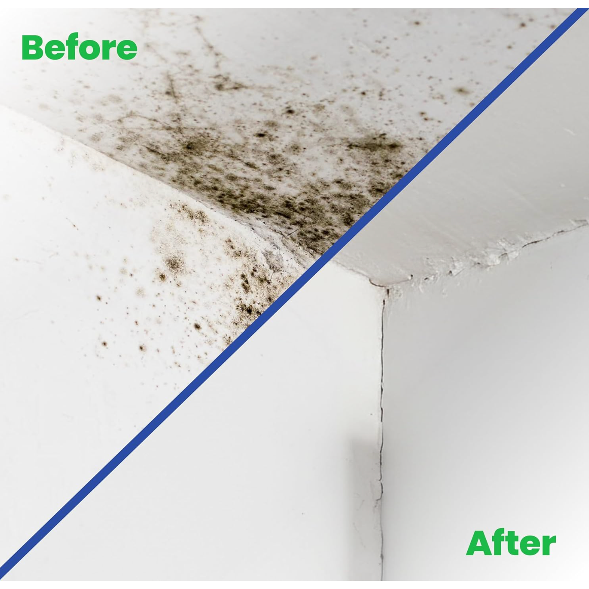 Anti-Mould Paint 0.5L – Matt White — product detail