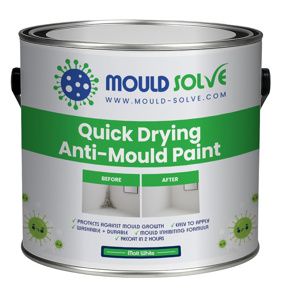 Anti-Mould Paint 1L – Matt White — product detail