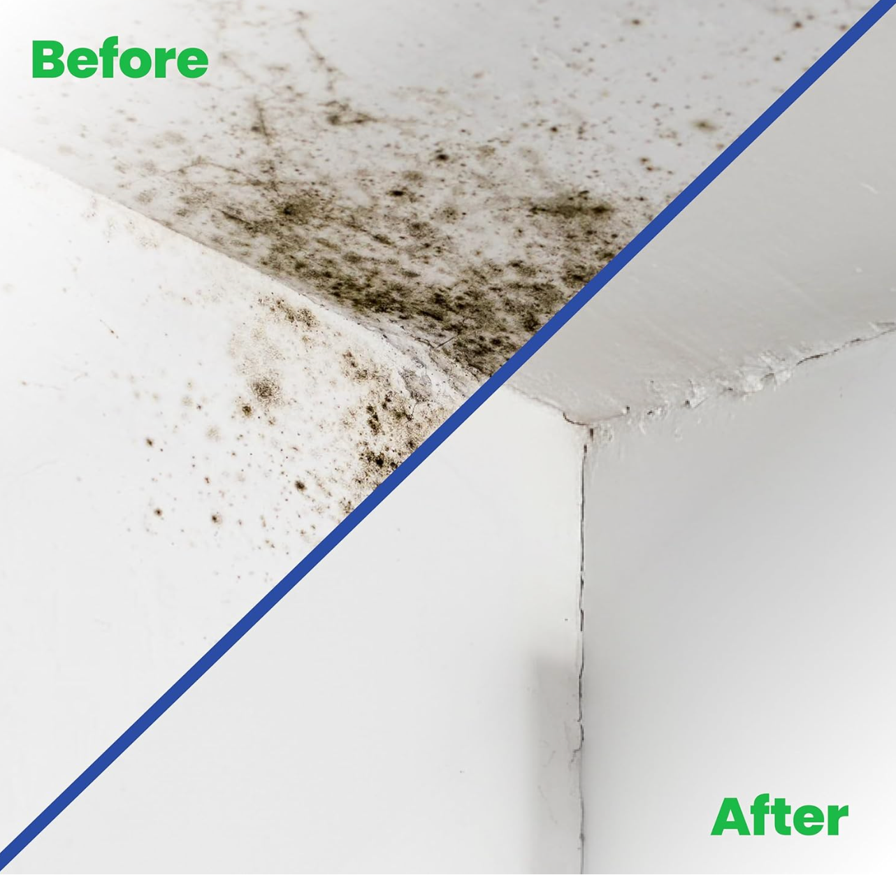 Mould Solve Anti Mould Paint 1L – Matt White | Mould Resistant Interior Paint