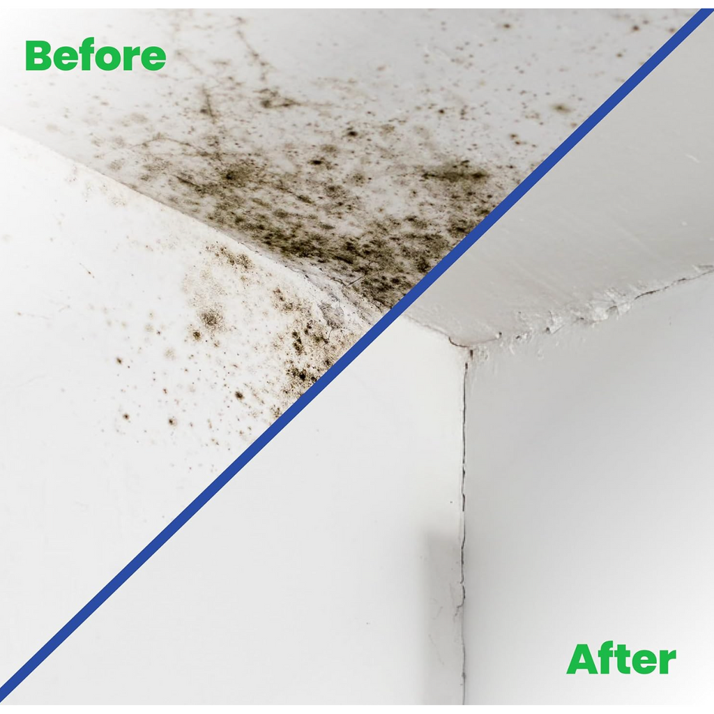 Anti-Mould Paint 1L – Matt White — product detail