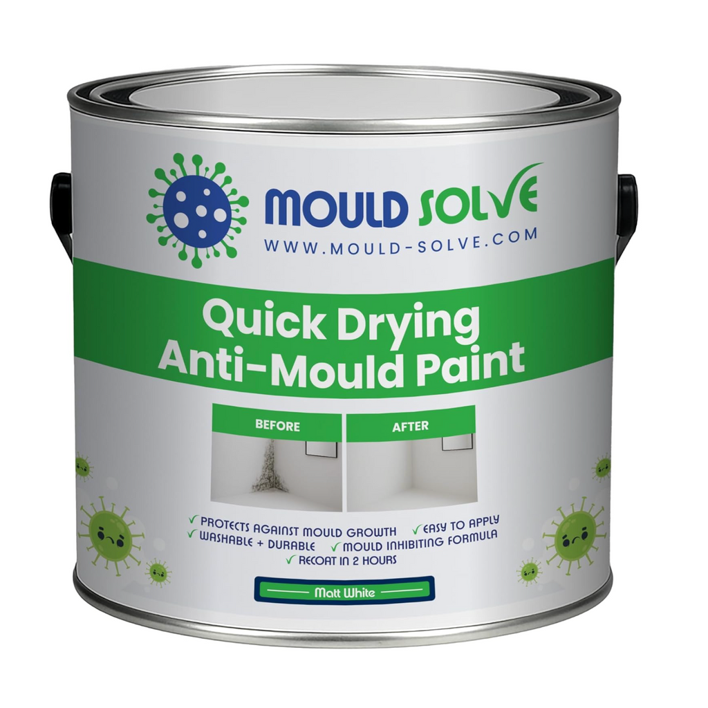 Anti-Mould Paint 2.5L – Matt White — product detail