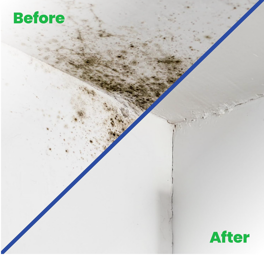 Mould Solve Anti Mould Paint 2.5L – Matt White | Interior Mould Resistant Paint