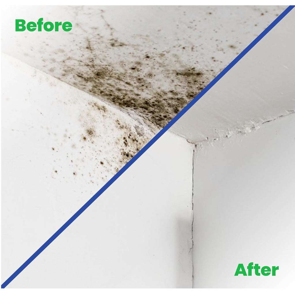 Anti-Mould Paint 2.5L – Matt White — product detail