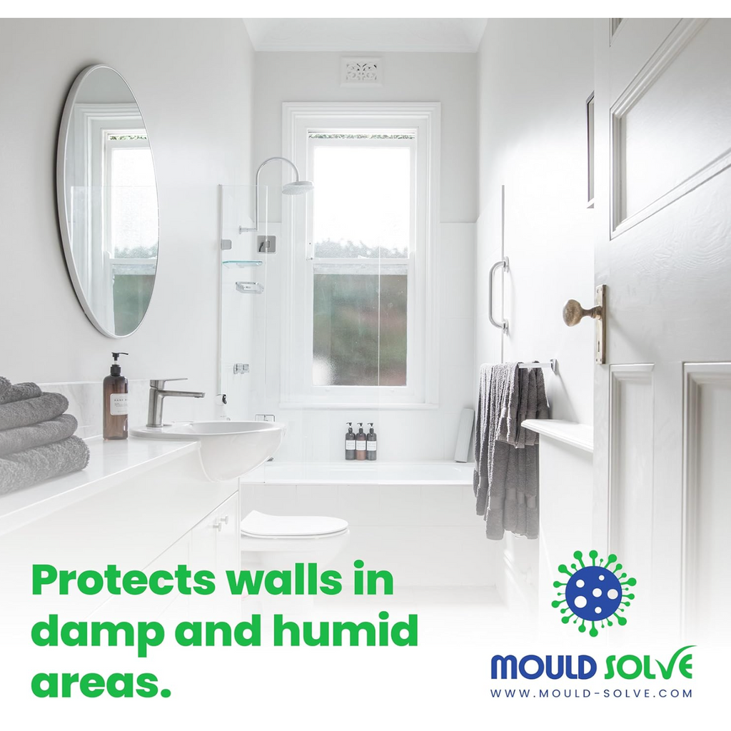 Anti-Mould Paint 2.5L – Matt White — product detail
