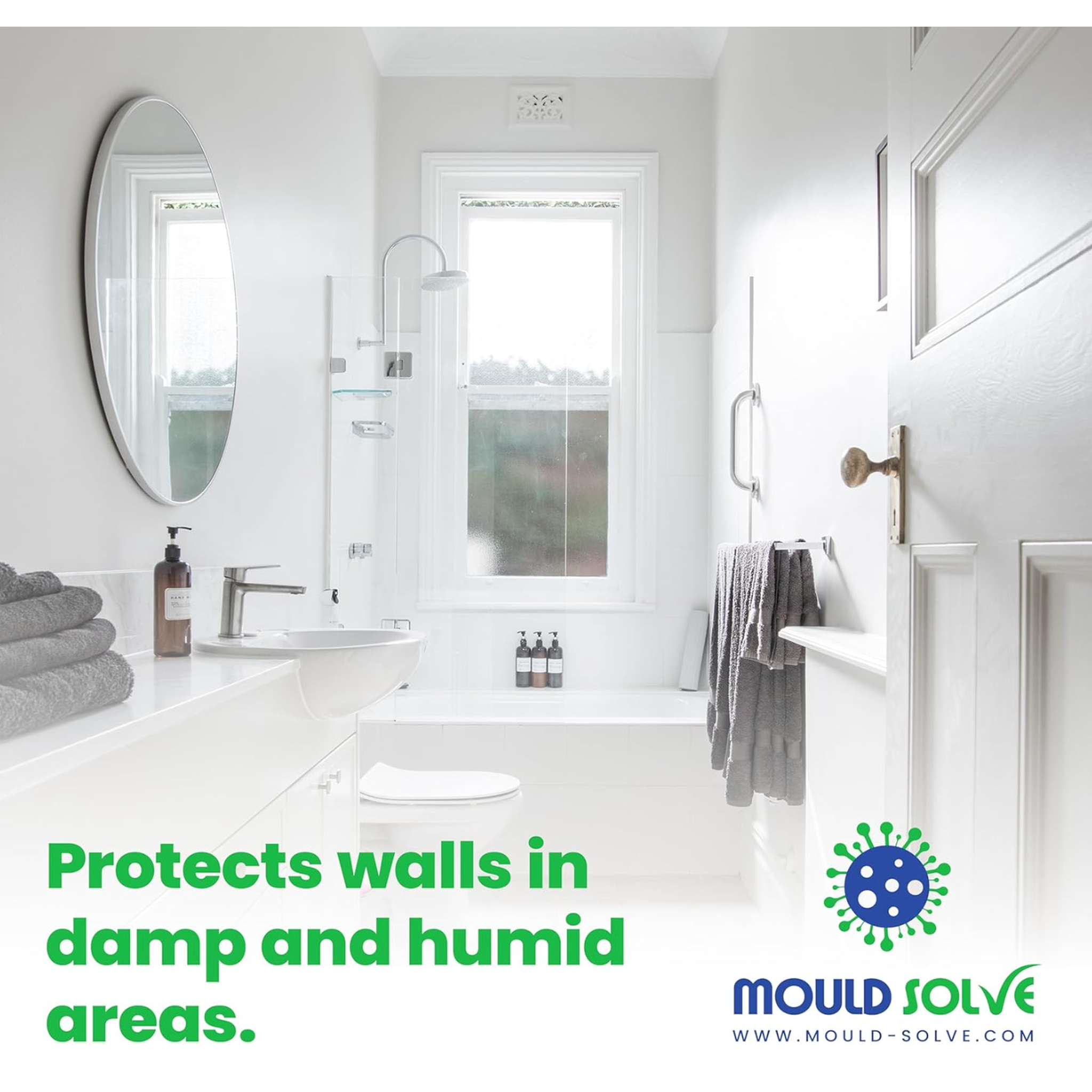 Anti-Mould Paint 2.5L – Matt White — product detail