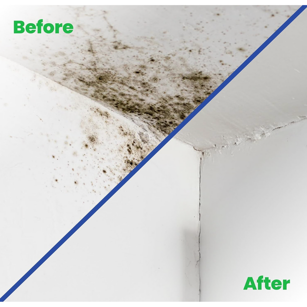 Essential Mould Treatment Kit — product detail