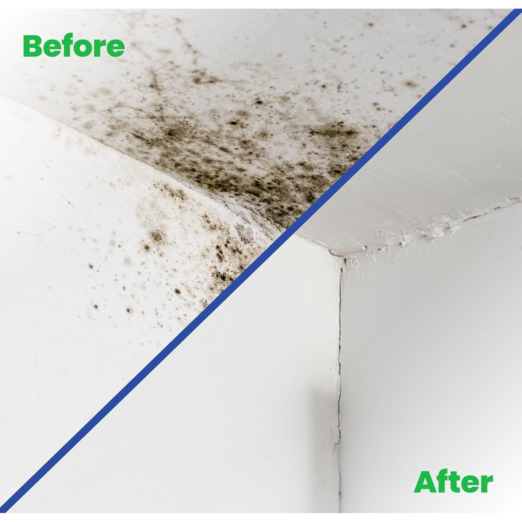 Essential Mould Treatment Kit — product detail