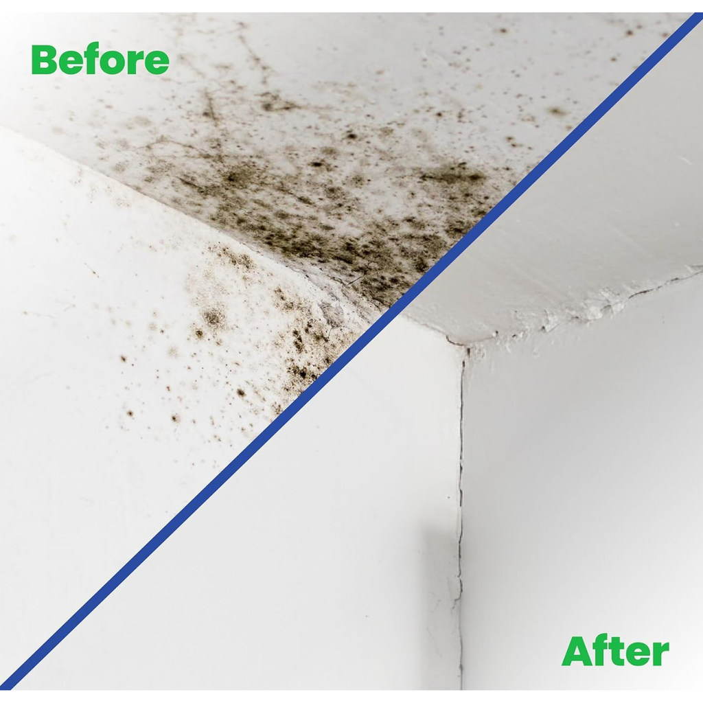Advanced Mould Treatment Kit — product detail