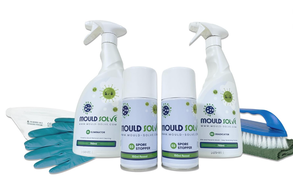 Mould Solve First Response Box | Complete Professional Mould Treatment & Safety Kit | 2 × 750ml Mould Sprays, 2 × Spore Stopper Aerosols, FFP3 Mask, Gloves, Scrubbing Brush & Microfibre Cloth