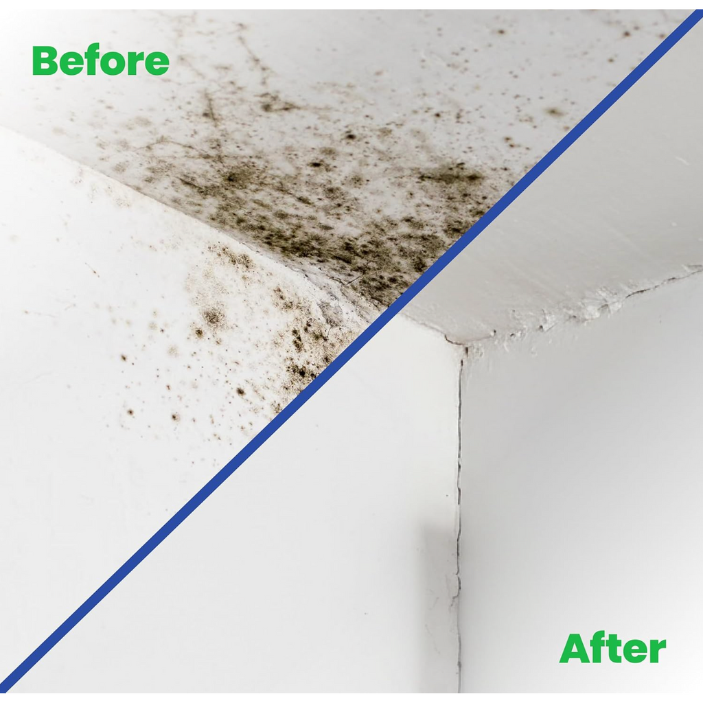 Complete Mould Treatment Kit — product detail