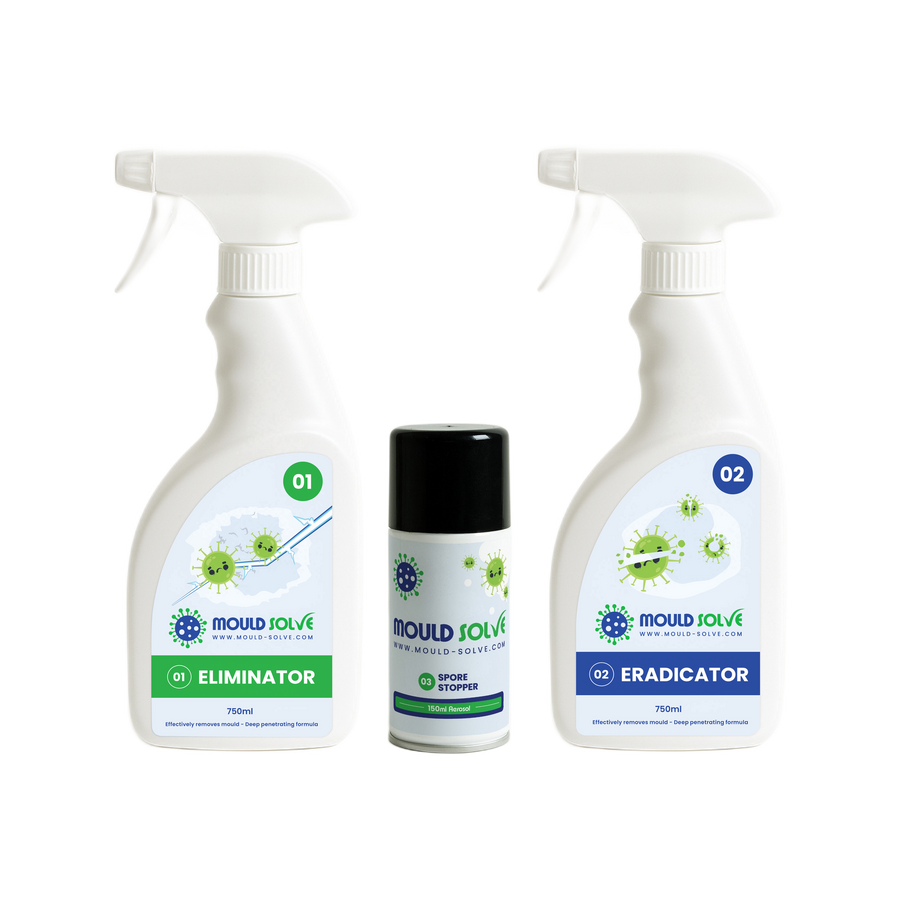 Advanced Mould Treatment Kit