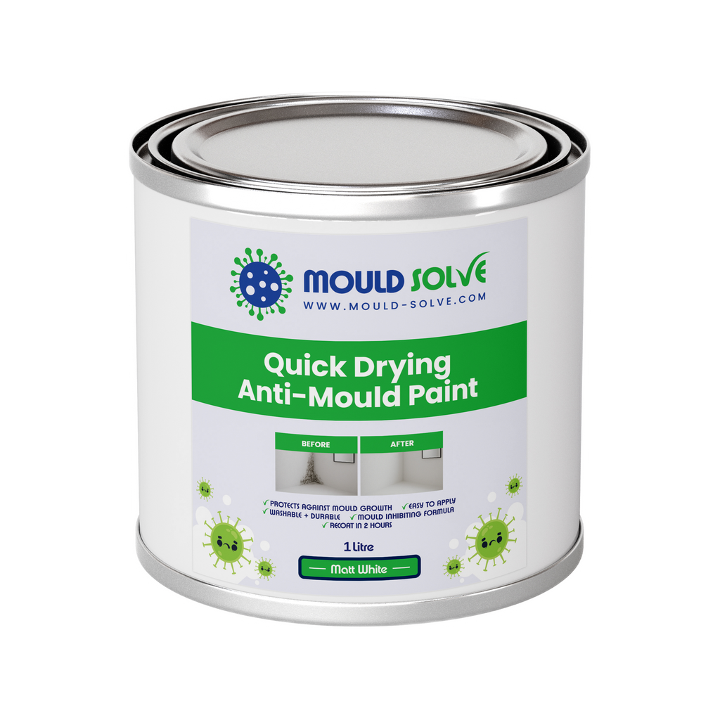 Anti-Mould Paint 1L tin – matt white quick drying