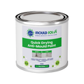 Anti-Mould Paint 1L tin – matt white quick drying