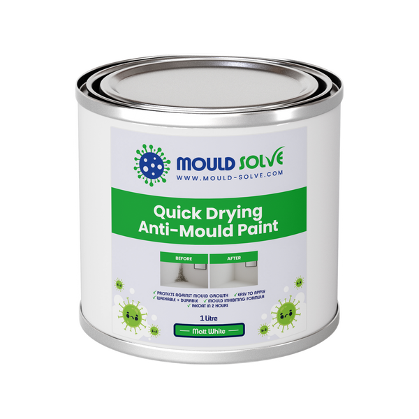 Anti-Mould Paint 1L tin – matt white quick drying