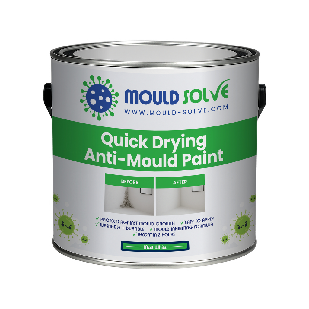 Anti-Mould Paint 2.5L tin – matt white quick drying