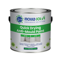 Anti-Mould Paint 2.5L tin – matt white quick drying
