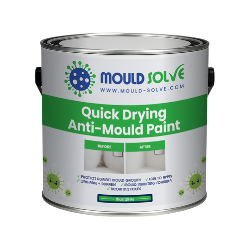 Anti-Mould Paint 2.5L tin – matt white quick drying
