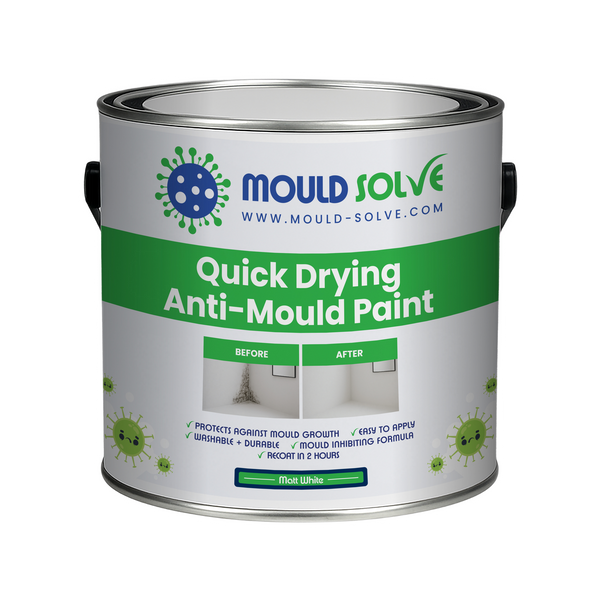 Anti-Mould Paint 2.5L tin – matt white quick drying