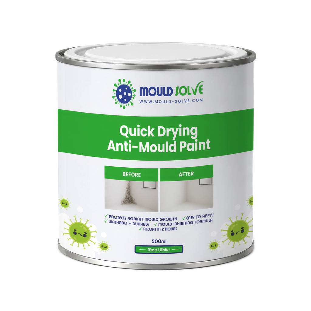 Anti-Mould Paint 0.5L tin – matt white quick drying