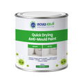 Anti-Mould Paint 0.5L tin – matt white quick drying