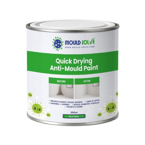 Anti-Mould Paint 0.5L tin – matt white quick drying
