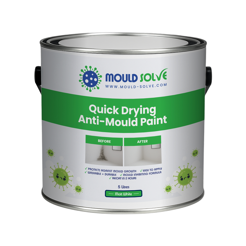 Anti-Mould Paint 5L tin – matt white quick drying